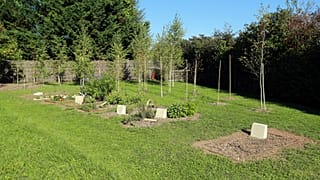 Archives : sépultures dans le cimetière naturel de Souché à Niort, le 9 octobre 2015