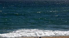 Das Mittelmeer vor Frankreich ist so überhitzt, das ganze Ökosysteme bedroht sind