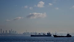 Getreidefrachter am Bosporus