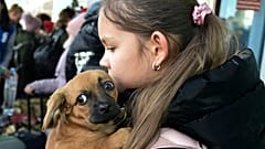 Aus Cherson evakuiert: Ein Mädchen mit ihrem Hund nach der Ankunft in Dschankoj auf der Krim.