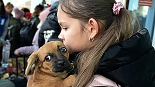 Aus Cherson evakuiert: Ein Mädchen mit ihrem Hund nach der Ankunft in Dschankoj auf der Krim.