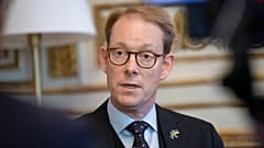 İsveç Dışişleri Bakanı Tobias Billstrom