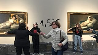 Акция протеста экоактивистов в музее Прадо 5 ноября 2022
