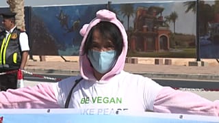 Protest gegen Fleischkonsum während der COP 27 