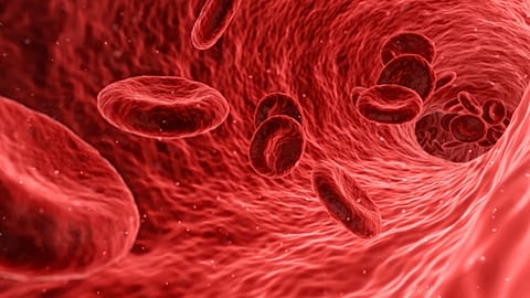 The world’s first clinical trial of lab-grown blood has begun in the UK, offering hope for patients who rely on frequent blood transfusions to manage their disease.
