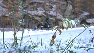 Biathlon-Training in Bressans