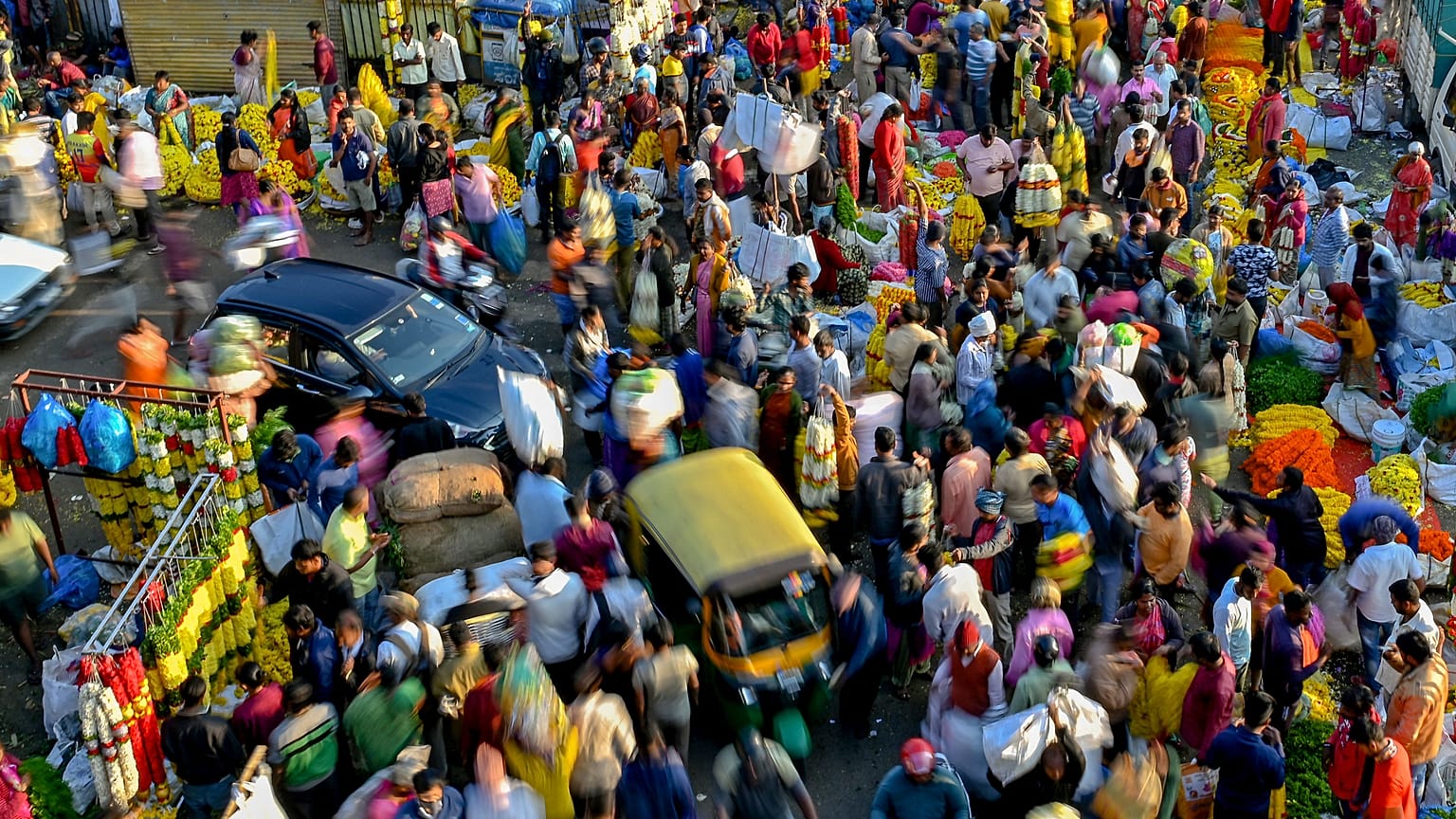 سوف يتجاوز عدد سكان العالم 8 مليارات في 15 تشرين الثاني/نوفمبر