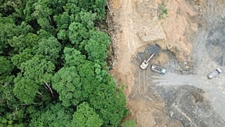 Should the international criminal court be given the right to prosecute ecocide?