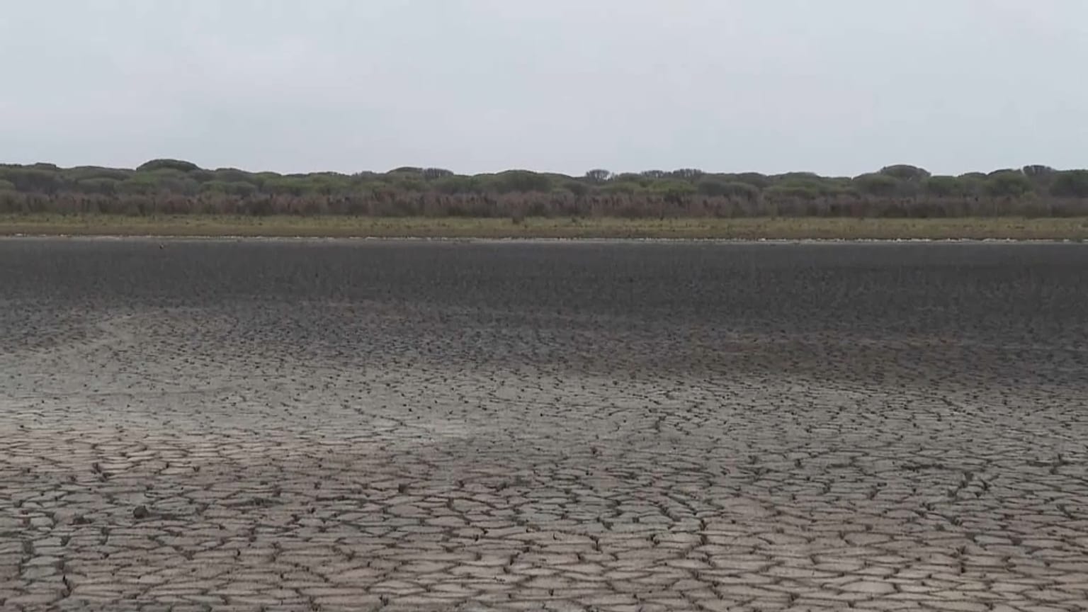 Los signos de agotamiento de Doñana son evidentes