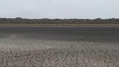 Los signos de agotamiento de Doñana son evidentes