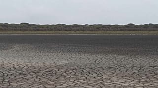Los signos de agotamiento de Doñana son evidentes