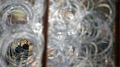 Border policemen stand guard at the Bulgarian-Turkish border near the village of Golyam Dervent in 2013