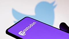 Twitter and Mastodon logos are seen in this illustration taken November 7, 2022.