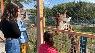 The views of Mykolaiv zoo, not far from the frontline, south Ukraine
