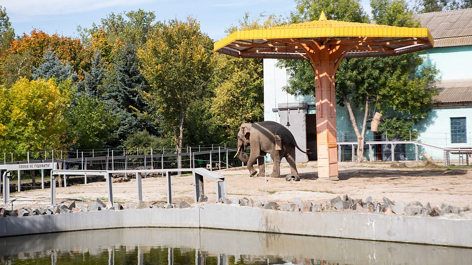 Les vues du zoo de Mykolaiv, près de la ligne de front, sud de l'Ukraine