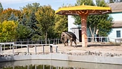 Les vues du zoo de Mykolaiv, près de la ligne de front, sud de l'Ukraine