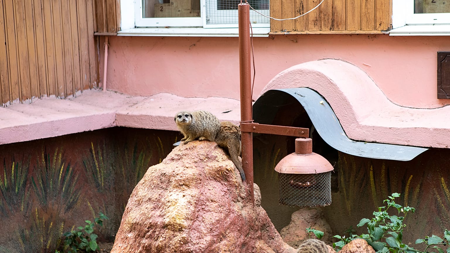 Auch kleinere Tiere gibt es im Zoo von Mykolajiw