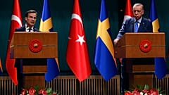 Ο Τούρκος πρόεδρος Ρετζέπ Ταγίπ Ερντογάν με τον Σουηδό πρωθυπουργό Ουλφ Κρίστερσον (φώτο αρχείου)