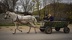 Село Цибирика, 2 ноября 2022 года