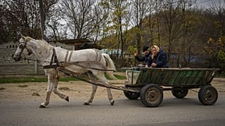 Село Цибирика, 2 ноября 2022 года