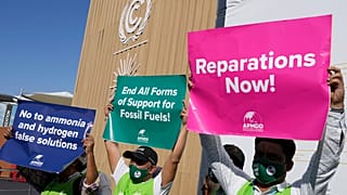 Protestors on the fourth day of COP27