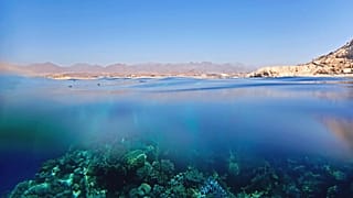 The Global Fund for Coral Reefs is boosting the resilience of Egypt's precious reefs.