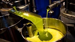 Dürre und extreme Hitzewellen haben die spanische Olivenölproduktion dezimiert. 