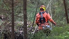 Finnischer Waldarbeiter im Gehölz