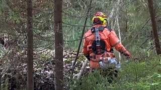 Finnischer Waldarbeiter im Gehölz