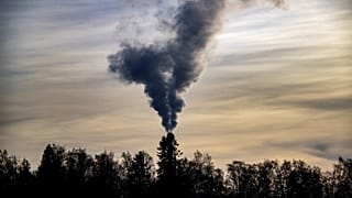 Smoke billows above trees out of the chimney of a factory in Sundom, On March 9, 2022.