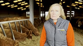 Liz Webster, presidenta de la organización 'Salvemos los Alimentos Británicos'.