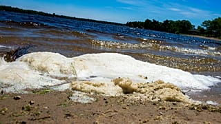 Forever chemicals do not breakdown in the natural world. 