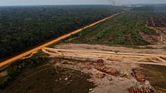 Tűzben álló erdőterület egy fakitermelő terület közelében  Amazonas államban, Brazíliában, 2022. szeptember 17-én