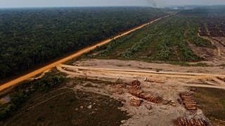 Tűzben álló erdőterület egy fakitermelő terület közelében  Amazonas államban, Brazíliában, 2022. szeptember 17-én
