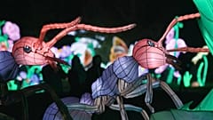 Les insectes à l'honneur dans le Jardin des Plantes à Paris