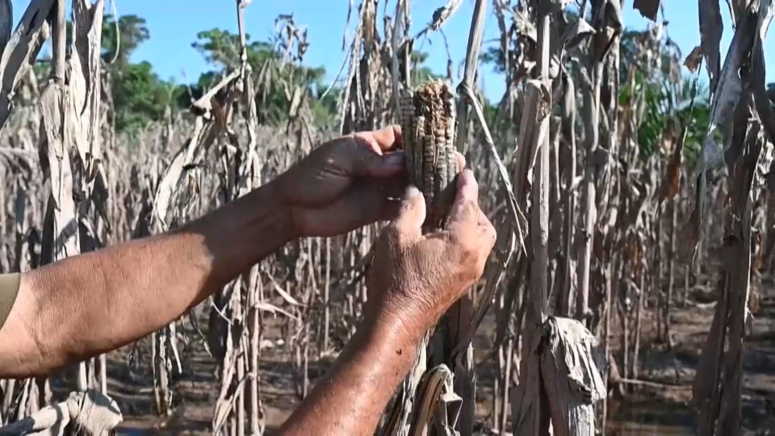 Fenómenos climáticos extremos empujan a millones de personas al límite de la pobreza en Centroamérica.