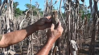Fenómenos climáticos extremos empujan a millones de personas al límite de la pobreza en Centroamérica.