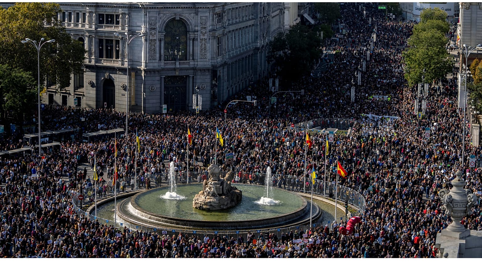 Hundreds of thousands rally to defend Madrid public healthcare on Sunday. 