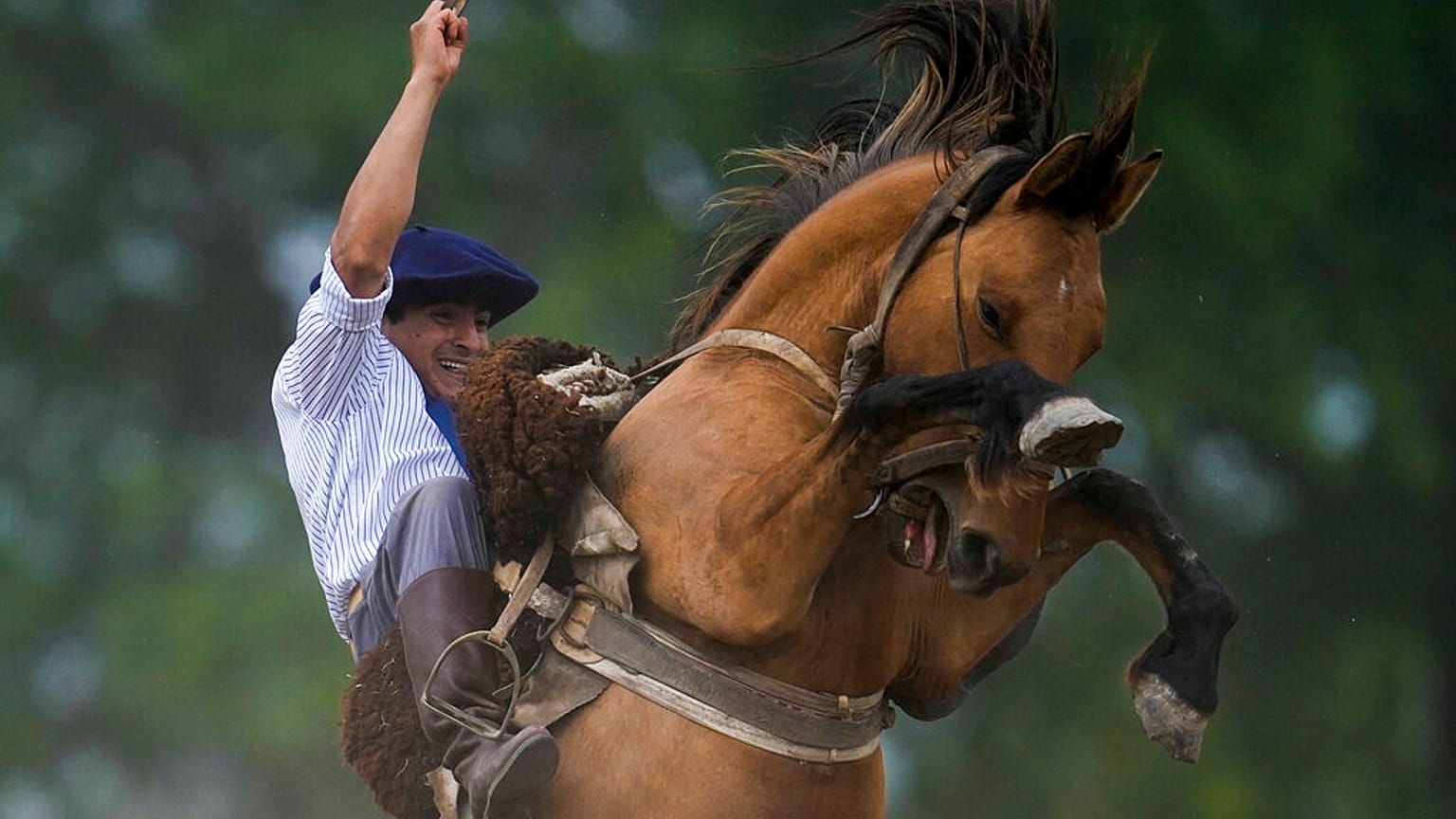 Un gaucho durante una exhibición con su caballo en San Antonio de Areco