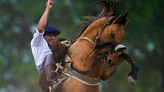 Un gaucho durante una exhibición con su caballo en San Antonio de Areco