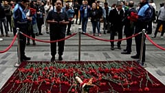 Гвоздики на месте взрыва на улице Истикляль в Стамбуле
