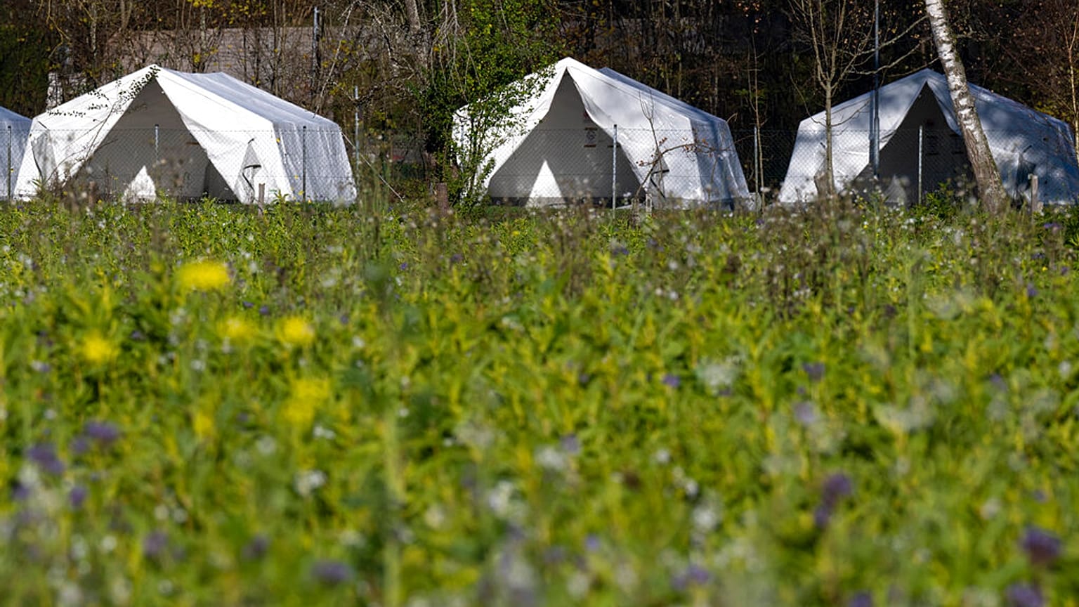 Sankt Georgen ist eine kleine Gemeinde in Österreich mit gut 4400 Einwohnern