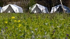 Sankt Georgen ist eine kleine Gemeinde in Österreich mit gut 4400 Einwohnern