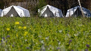Sankt Georgen ist eine kleine Gemeinde in Österreich mit gut 4400 Einwohnern