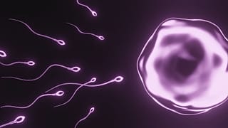 Researchers say global sperm counts have dropped by a “staggering” 50 per cent over the past five decades - and the decline is gaining pace.