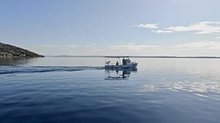 ‘Guardianes del mar’: cómo los pescadores pueden ganar más pescando menos