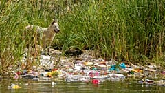 A Nílus a klímakonferencia országában, Egyiptomban az eseménnyel egy időben