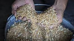 Crisi alimentare