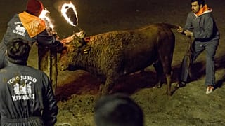 İspanya'daki boğa festivali 