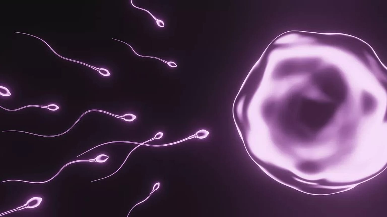 Weltweit geht die Zahl der Spermien zurück